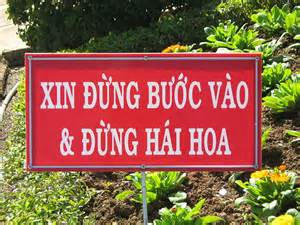 越南语歌词不要采花