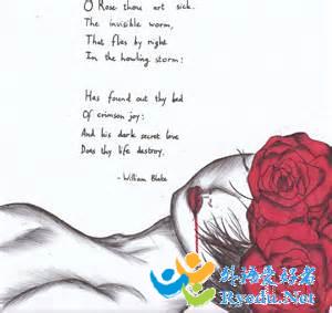the sick rose赏析